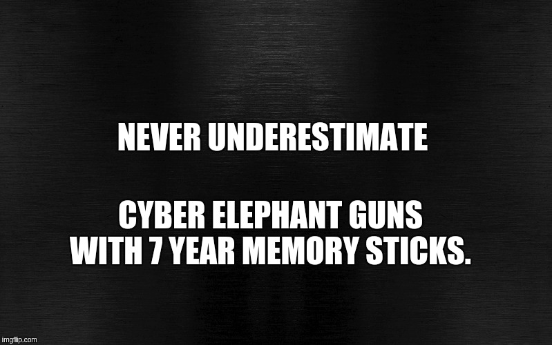 NEVER UNDERESTIMATE; CYBER ELEPHANT GUNS WITH 7 YEAR MEMORY STICKS. | image tagged in qanon | made w/ Imgflip meme maker