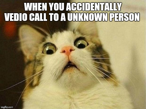 Scared Cat Meme | WHEN YOU ACCIDENTALLY VEDIO CALL TO A UNKNOWN PERSON | image tagged in memes,scared cat | made w/ Imgflip meme maker