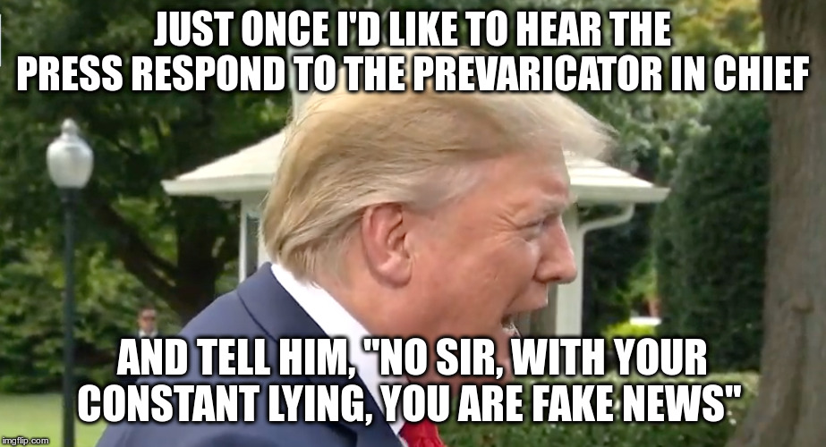 Trump is the source of much fake news | JUST ONCE I'D LIKE TO HEAR THE PRESS RESPOND TO THE PREVARICATOR IN CHIEF; AND TELL HIM, "NO SIR, WITH YOUR CONSTANT LYING, YOU ARE FAKE NEWS" | image tagged in trump,humor,fake news,lying,prevaricator in chief,free press | made w/ Imgflip meme maker