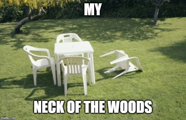 We Will Rebuild Meme | MY NECK OF THE WOODS | image tagged in memes,we will rebuild | made w/ Imgflip meme maker