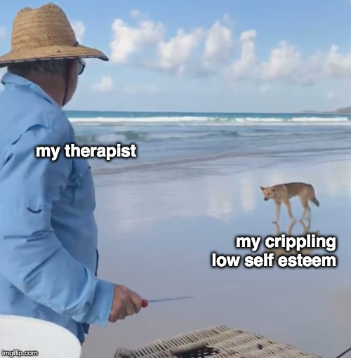 my therapist; my crippling low self esteem | image tagged in dingo,knife,dingo knife,beach | made w/ Imgflip meme maker