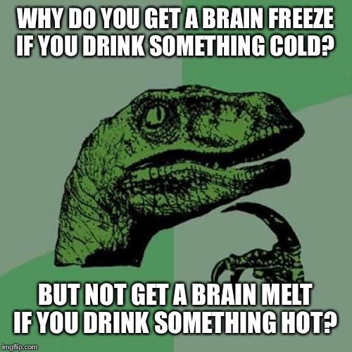 Philosoraptor Meme | WHY DO YOU GET A BRAIN FREEZE IF YOU DRINK SOMETHING COLD? BUT NOT GET A BRAIN MELT IF YOU DRINK SOMETHING HOT? | image tagged in memes,philosoraptor | made w/ Imgflip meme maker