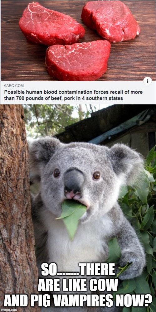 I Want to Suck Your Bloooood (Do THIS in the Headlines thread...link in comments) | SO........THERE ARE LIKE COW AND PIG VAMPIRES NOW? | image tagged in memes,surprised koala | made w/ Imgflip meme maker