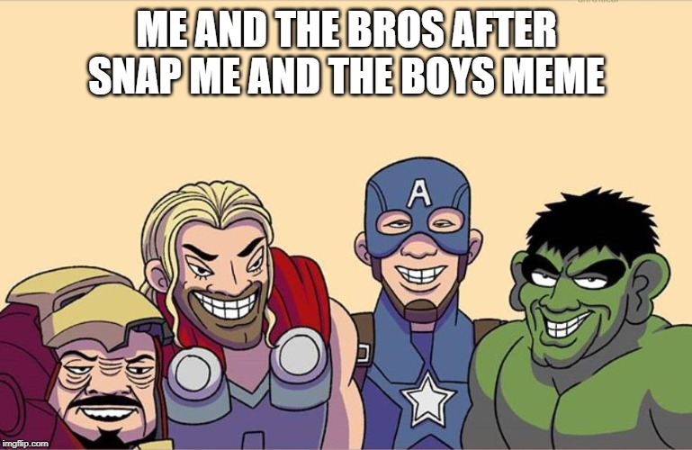 me and the bros | ME AND THE BROS AFTER SNAP ME AND THE BOYS MEME | image tagged in memes,me and the bros,avengers | made w/ Imgflip meme maker