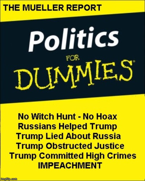 There was NO EXONERATION! | image tagged in politic for dummies,impeach trump,criminal,conman,liar,traitor | made w/ Imgflip meme maker