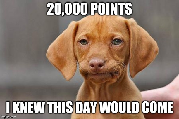 Dissapointed puppy | 20,000 POINTS; I KNEW THIS DAY WOULD COME | image tagged in dissapointed puppy | made w/ Imgflip meme maker