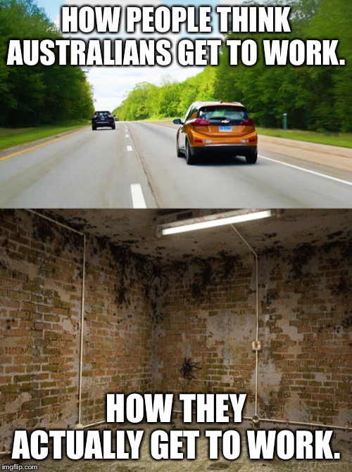 HOW PEOPLE THINK AUSTRALIANS GET TO WORK. HOW THEY ACTUALLY GET TO WORK. | image tagged in room of spiders | made w/ Imgflip meme maker