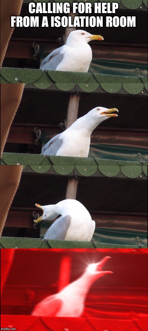 Inhaling Seagull Meme | CALLING FOR HELP FROM A ISOLATION ROOM | image tagged in memes,inhaling seagull | made w/ Imgflip meme maker