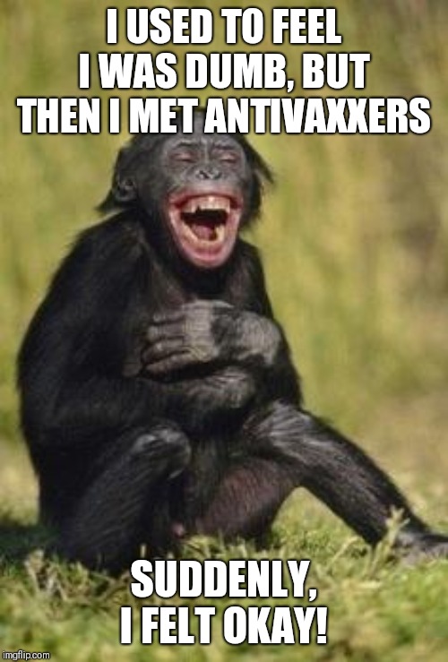 Antivaxxers | I USED TO FEEL I WAS DUMB, BUT THEN I MET ANTIVAXXERS; SUDDENLY, I FELT OKAY! | image tagged in laughing monkey,antivax,vaccines,vaccination,vaccine,bad parents | made w/ Imgflip meme maker