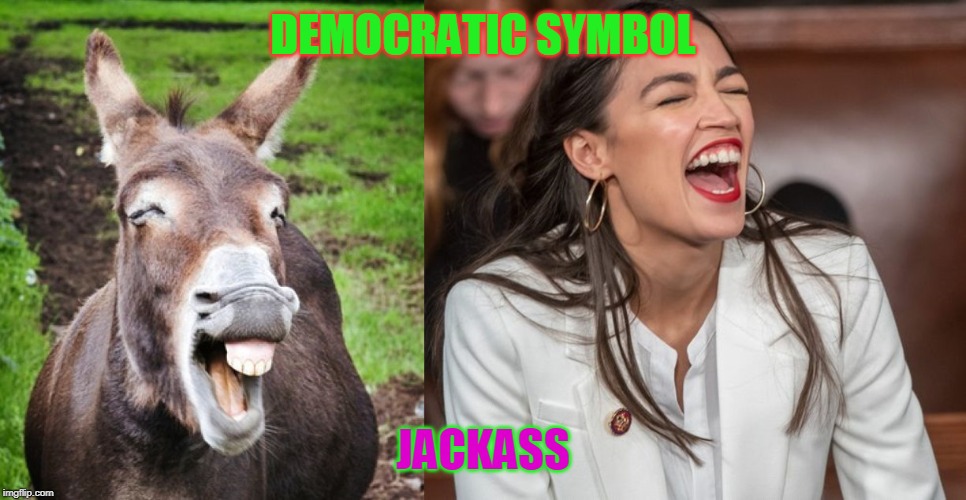 No Irony Lost | DEMOCRATIC SYMBOL; JACKASS | image tagged in donkey,jack ass,alexandria ocasio-cortez | made w/ Imgflip meme maker
