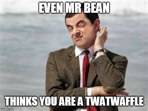 mr bean twat | EVEN MR BEAN; THINKS YOU ARE A TWATWAFFLE | image tagged in mr bean sarcastic | made w/ Imgflip meme maker