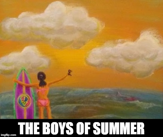 THE BOYS OF SUMMER | made w/ Imgflip meme maker