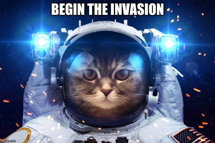 Space Cat 2 | BEGIN THE INVASION | image tagged in space cat 2 | made w/ Imgflip meme maker