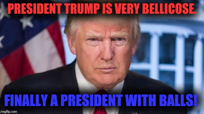 Trump | PRESIDENT TRUMP IS VERY BELLICOSE. FINALLY A PRESIDENT WITH BALLS! | image tagged in president trump | made w/ Imgflip meme maker