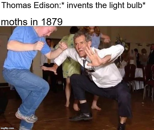 Thomas Edison:* invents the light bulb*; moths in 1879 | image tagged in memes,jokes,funny | made w/ Imgflip meme maker