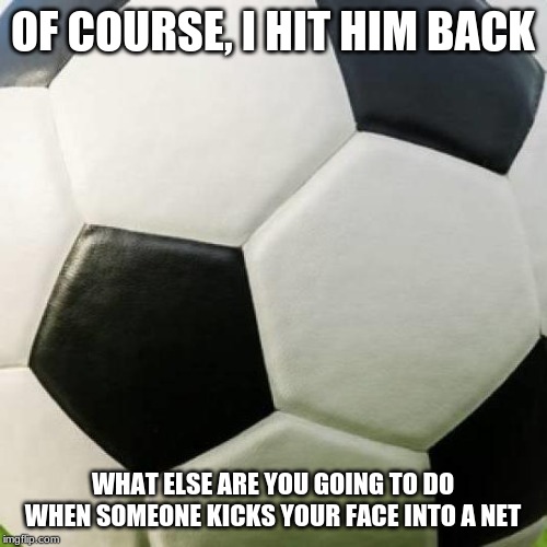 soccer ball | OF COURSE, I HIT HIM BACK WHAT ELSE ARE YOU GOING TO DO WHEN SOMEONE KICKS YOUR FACE INTO A NET | image tagged in soccer ball | made w/ Imgflip meme maker