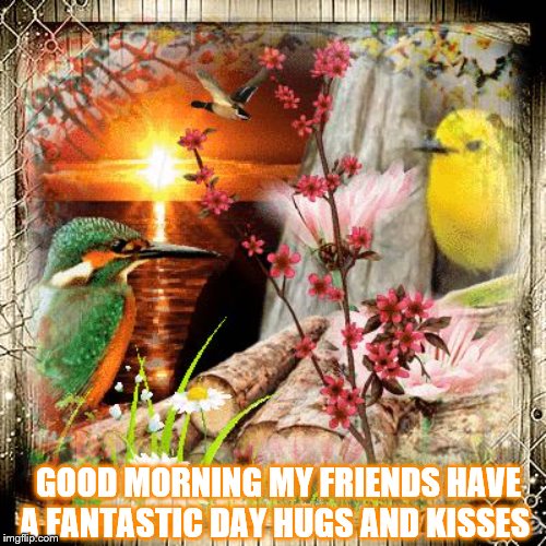 good morning | GOOD MORNING MY FRIENDS HAVE A FANTASTIC DAY HUGS AND KISSES | image tagged in humming bird,good morning,birds,sunshine,memes,flowers | made w/ Imgflip meme maker