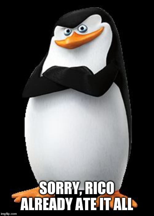 Skipper | SORRY, RICO ALREADY ATE IT ALL | image tagged in skipper | made w/ Imgflip meme maker