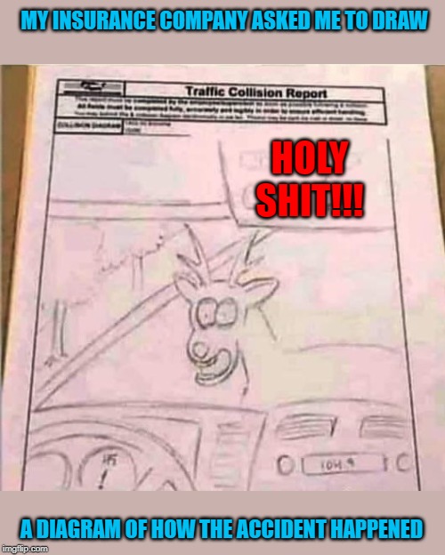 Hitting a deer is no joke!!! | MY INSURANCE COMPANY ASKED ME TO DRAW; HOLY SHIT!!! A DIAGRAM OF HOW THE ACCIDENT HAPPENED | image tagged in insurance diagram,memes,deer,funny,headlights,true story | made w/ Imgflip meme maker