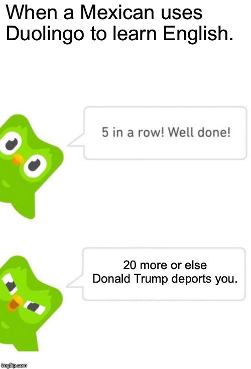 It had to be done | When a Mexican uses Duolingo to learn English. 20 more or else Donald Trump deports you. | image tagged in duolingo 5 in a row,memes,funny,donald trump,deportation | made w/ Imgflip meme maker