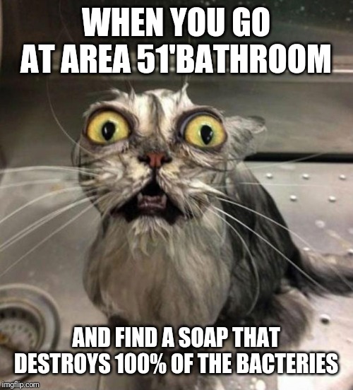Astonished Wet Cat | WHEN YOU GO AT AREA 51'BATHROOM; AND FIND A SOAP THAT DESTROYS 100% OF THE BACTERIES | image tagged in astonished wet cat | made w/ Imgflip meme maker