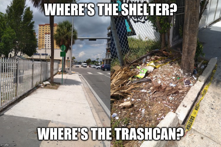 Concrete Jungle | WHERE'S THE SHELTER? WHERE'S THE TRASHCAN? | image tagged in jungle,trash | made w/ Imgflip meme maker