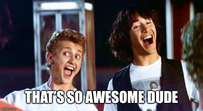 Bill and Ted | THAT’S SO AWESOME DUDE | image tagged in bill and ted | made w/ Imgflip meme maker