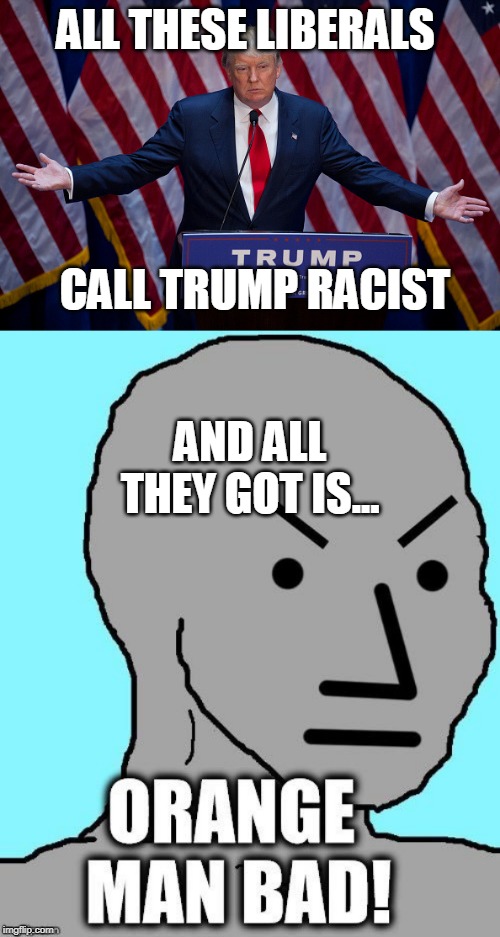 SOUNDS LIKE THEY ARE THE ONES WHO ARE RACIST | ALL THESE LIBERALS; CALL TRUMP RACIST; AND ALL THEY GOT IS... | image tagged in donald trump,orange man bad,liberals,liberal logic | made w/ Imgflip meme maker
