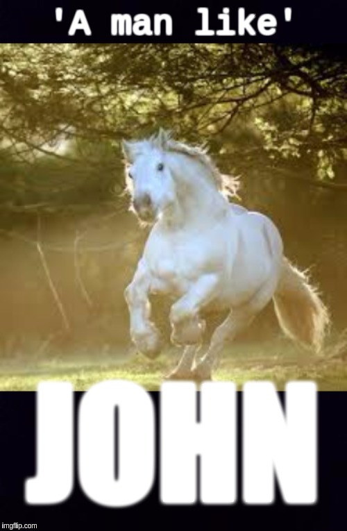 @WWG1WGA | 'A man like'; JOHN | image tagged in the great awakening,faith in humanity,shitstorm,lion king,jfk,hope | made w/ Imgflip meme maker