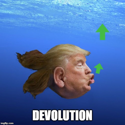 DEVOLUTION | made w/ Imgflip meme maker
