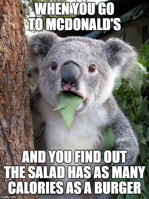 Surprised Koala | WHEN YOU GO TO MCDONALD'S; AND YOU FIND OUT THE SALAD HAS AS MANY CALORIES AS A BURGER | image tagged in memes,surprised koala | made w/ Imgflip meme maker
