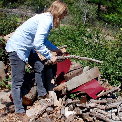 woman gathering wood Blank Meme Template