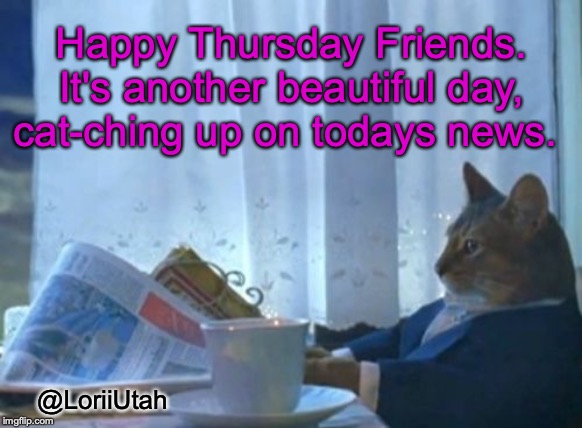 Cat-ching up on the News | Happy Thursday Friends. It's another beautiful day, cat-ching up on todays news. @LoriiUtah | image tagged in memes,i should buy a boat cat | made w/ Imgflip meme maker