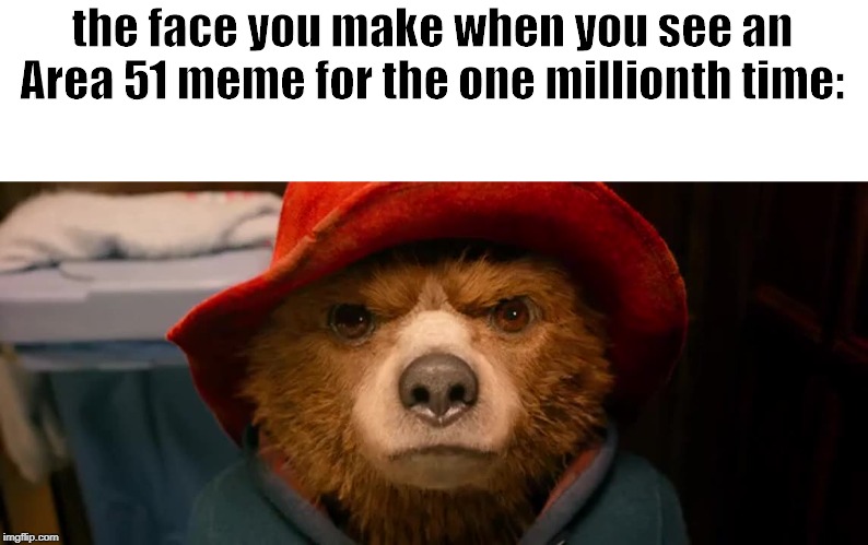 Paddington Bear Hard Stare | the face you make when you see an Area 51 meme for the one millionth time: | image tagged in paddington bear hard stare | made w/ Imgflip meme maker