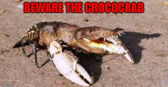 BEWARE THE CROCOCRAB | made w/ Imgflip meme maker