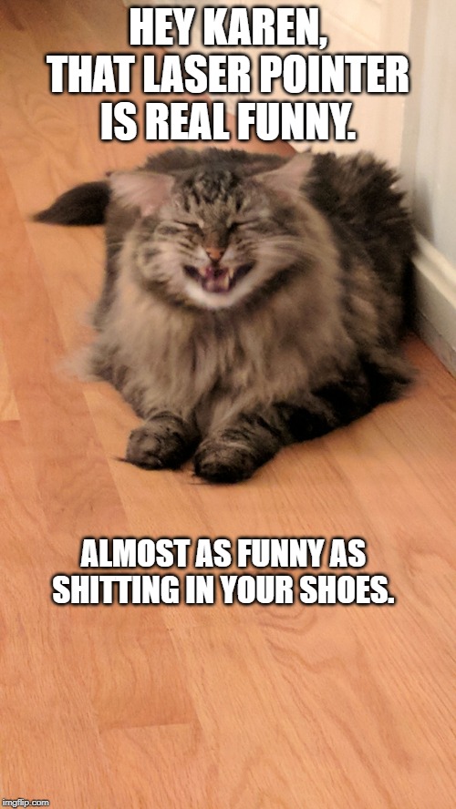 Bad joke cat | HEY KAREN, THAT LASER POINTER IS REAL FUNNY. ALMOST AS FUNNY AS SHITTING IN YOUR SHOES. | image tagged in bad joke cat | made w/ Imgflip meme maker