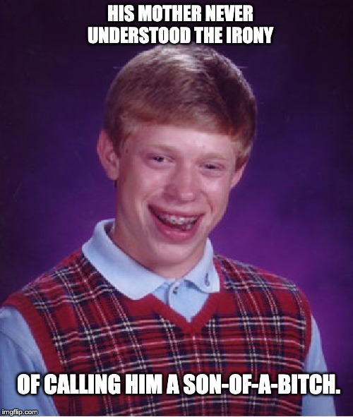 Bad Luck Brian Meme | HIS MOTHER NEVER UNDERSTOOD THE IRONY; OF CALLING HIM A SON-OF-A-BITCH. | image tagged in memes,bad luck brian | made w/ Imgflip meme maker