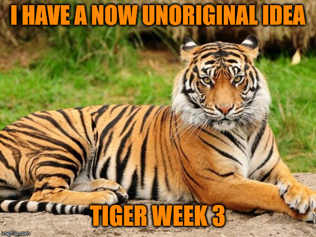 Potentially Tiger Week 3, July 27 - August 2 2019, a TigerLegend1046 event, see comments | I HAVE A NOW UNORIGINAL IDEA; TIGER WEEK 3 | image tagged in memes,tiger,tiger week 3,tigerlegend1046 | made w/ Imgflip meme maker