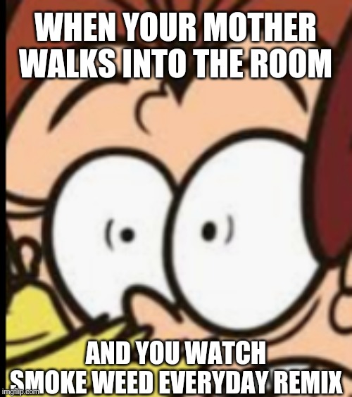 Luan Face | WHEN YOUR MOTHER WALKS INTO THE ROOM; AND YOU WATCH SMOKE WEED EVERYDAY REMIX | image tagged in luan face | made w/ Imgflip meme maker