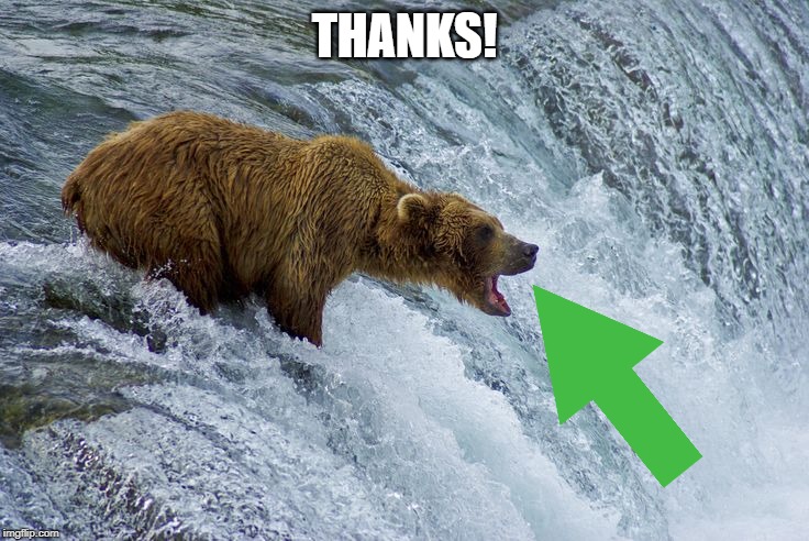 Bear catching salmon | THANKS! | image tagged in bear catching salmon | made w/ Imgflip meme maker