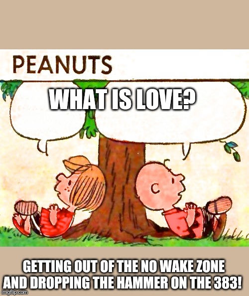 Peanuts Charlie Brown Peppermint Patty | WHAT IS LOVE? GETTING OUT OF THE NO WAKE ZONE AND DROPPING THE HAMMER ON THE 383! | image tagged in peanuts charlie brown peppermint patty | made w/ Imgflip meme maker