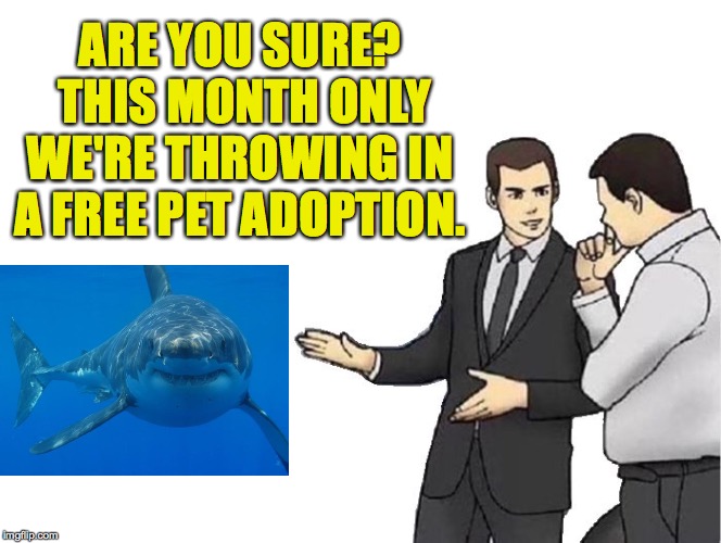 Car Salesman Slaps Hood Meme | ARE YOU SURE?  THIS MONTH ONLY WE'RE THROWING IN A FREE PET ADOPTION. | image tagged in memes,car salesman slaps hood | made w/ Imgflip meme maker