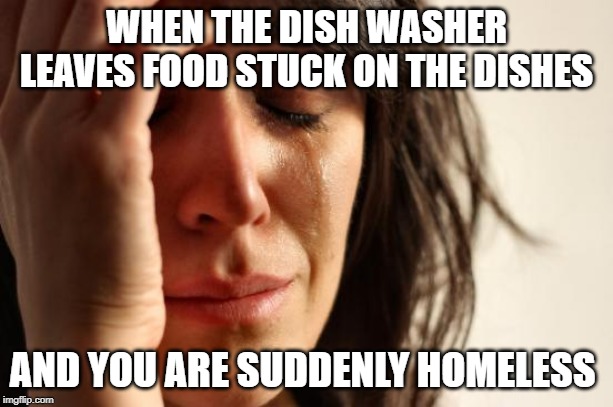 First World Problems | WHEN THE DISH WASHER LEAVES FOOD STUCK ON THE DISHES; AND YOU ARE SUDDENLY HOMELESS | image tagged in memes,first world problems | made w/ Imgflip meme maker