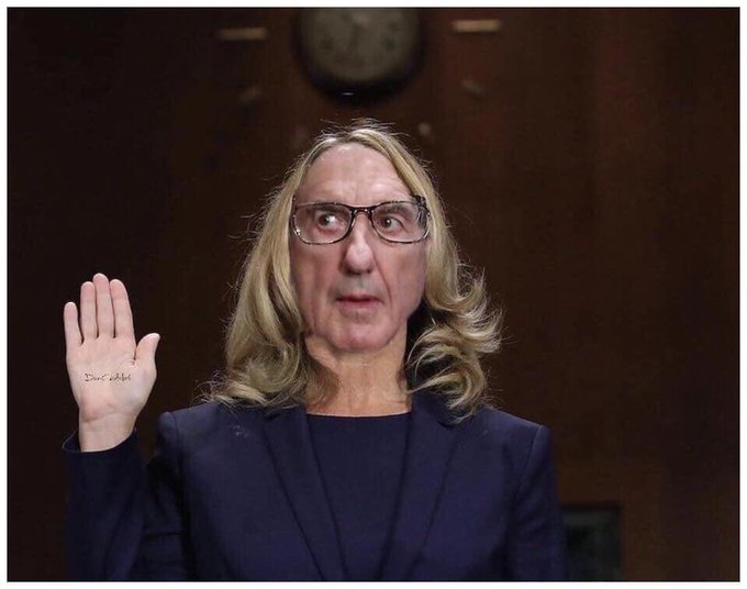 Christine Ford Robert Mueller Blank Meme Template