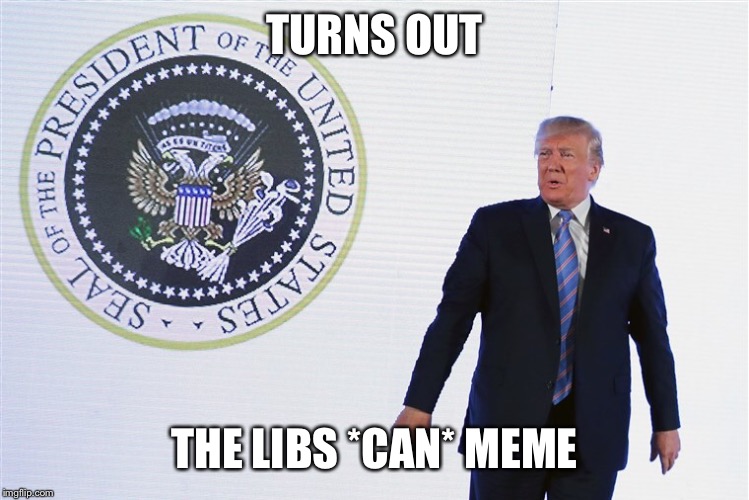 Big dummy didn’t notice | TURNS OUT; THE LIBS *CAN* MEME | image tagged in trump,dumb,libs can meme | made w/ Imgflip meme maker