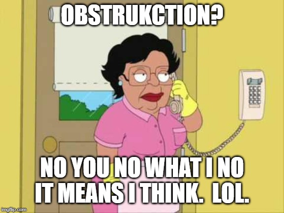 Consuela Meme | OBSTRUKCTION? NO YOU NO WHAT I NO IT MEANS I THINK.  LOL. | image tagged in memes,consuela | made w/ Imgflip meme maker