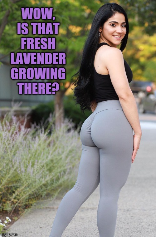 I'd love to sniff that lavender | WOW, IS THAT FRESH LAVENDER GROWING THERE? | image tagged in booty,sexy girl,cute girl,leggings,yoga pants,jbmemegeek | made w/ Imgflip meme maker