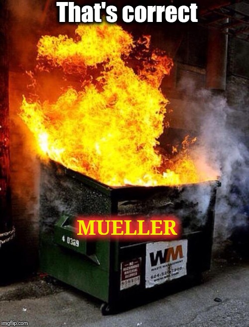 Dumpster Fire | That's correct MUELLER | image tagged in dumpster fire | made w/ Imgflip meme maker
