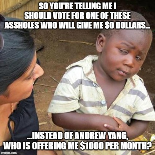 Third World Skeptical Kid | SO YOU'RE TELLING ME I SHOULD VOTE FOR ONE OF THESE ASSHOLES WHO WILL GIVE ME $0 DOLLARS... ...INSTEAD OF ANDREW YANG, WHO IS OFFERING ME $1000 PER MONTH? | image tagged in memes,third world skeptical kid | made w/ Imgflip meme maker
