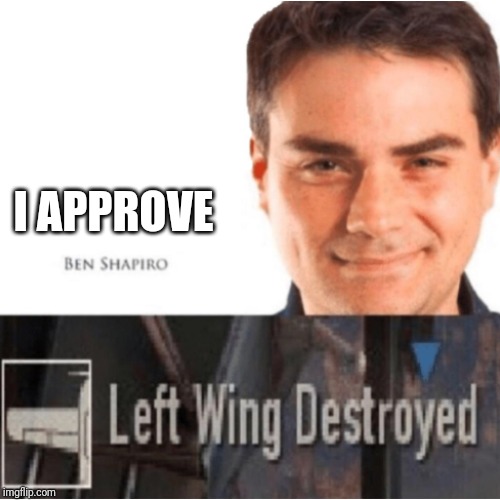 LEFT WING DESTROYED | I APPROVE | image tagged in left wing destroyed | made w/ Imgflip meme maker